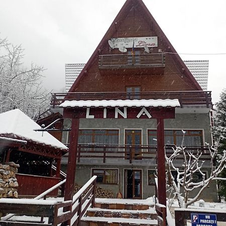 Pensiunea Lina Lepşa Eksteriør billede